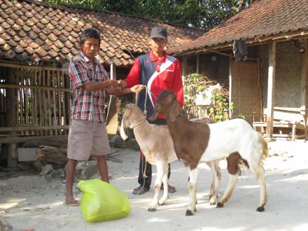 Panduan Pelayanan Satu Pintu Desa puru